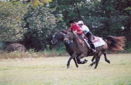 Race_01