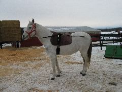 IMG_1456.JPG