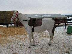 IMG_1457.JPG