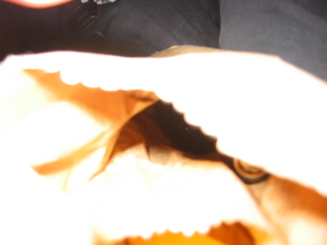 Picture 029_1