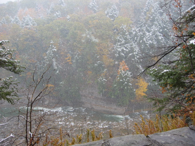 Picture 050_1