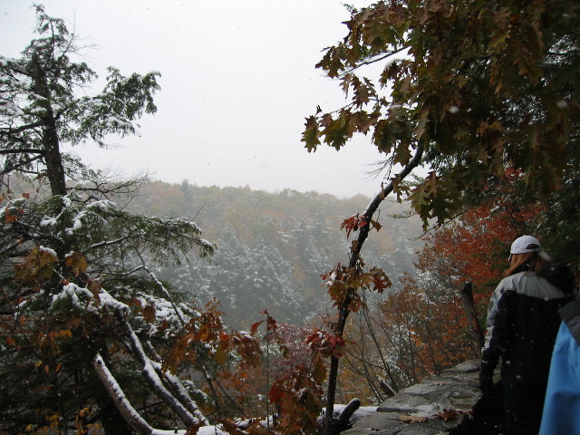 Picture 051_1