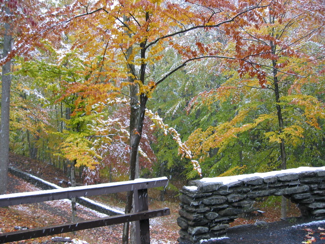 Picture 062_1