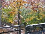 Picture 062_1