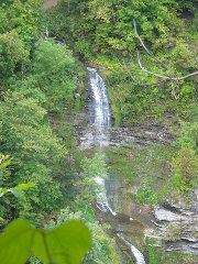 IMG_1169