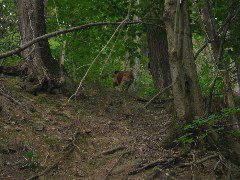 IMG_1171