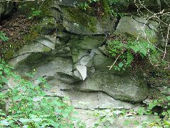 IMG_1175