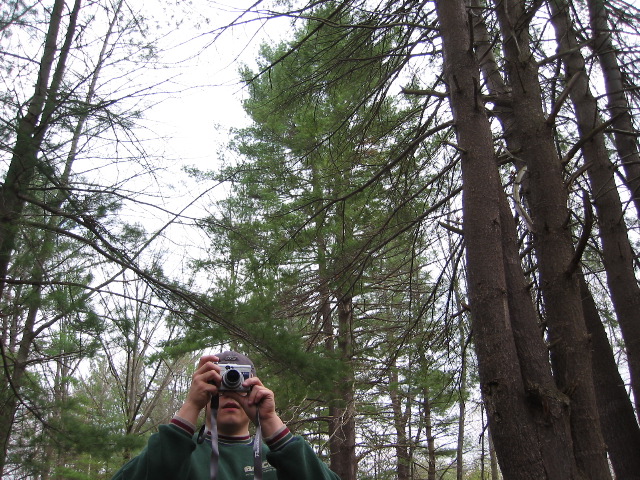 Picture 015