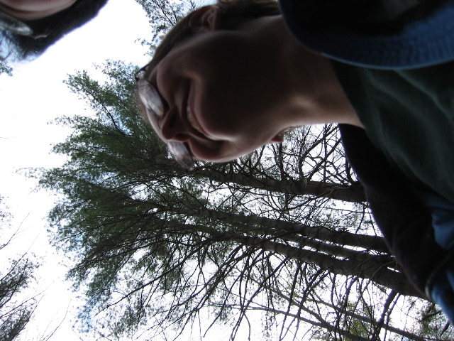 Picture 016