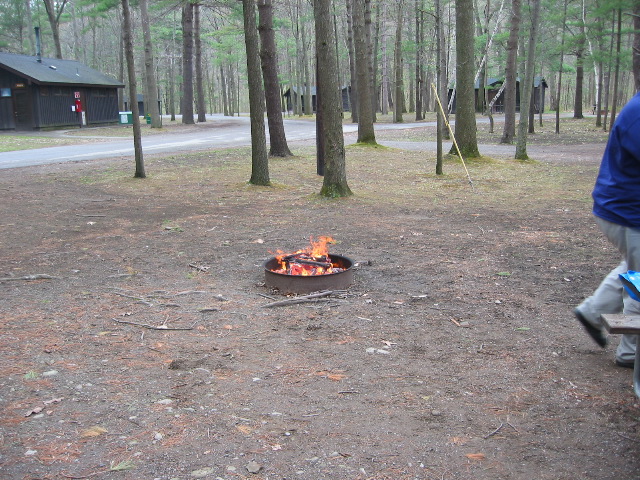 Picture 020