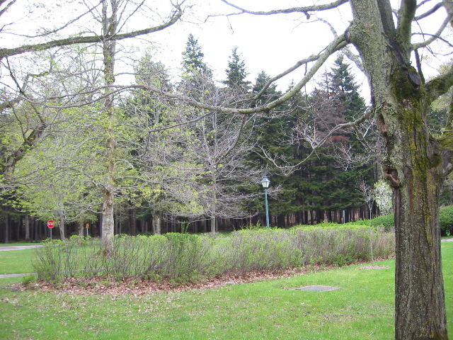 Picture 004