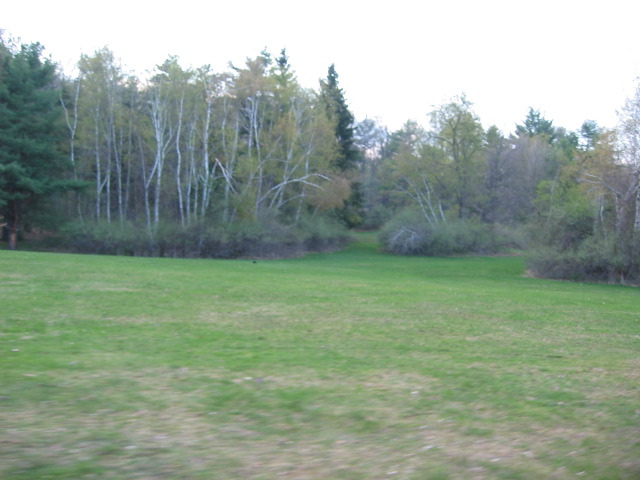 Picture 021