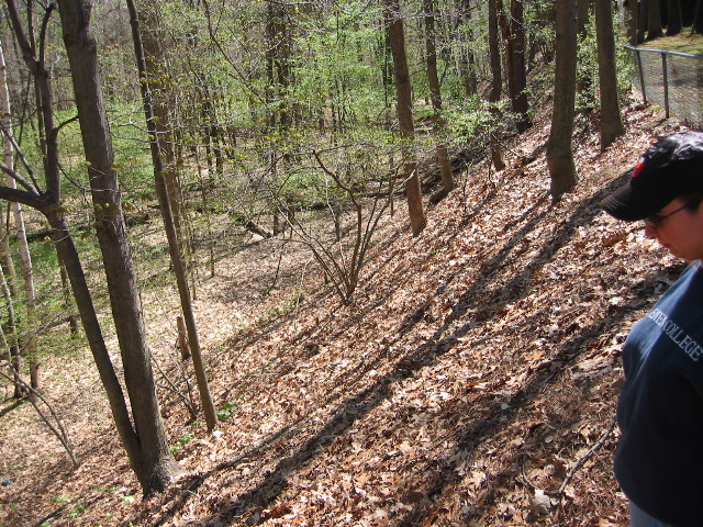 Picture 033