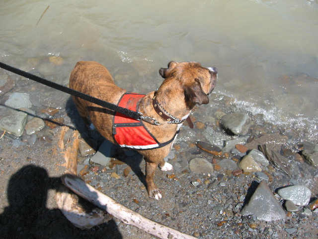 Picture 037