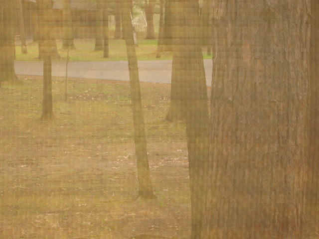 Picture 007
