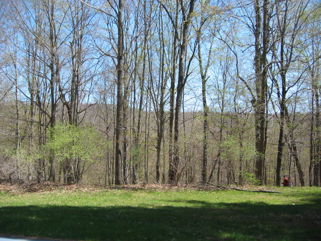 Picture 049