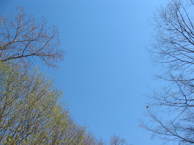 Picture 050