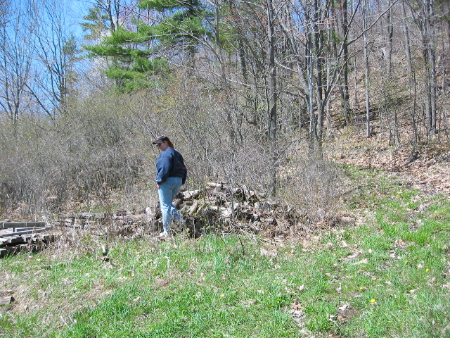 Picture 054