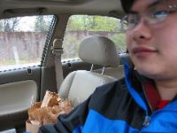 Picture 001