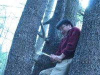 Tam_Tree_2