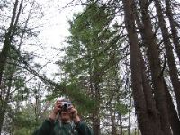 Picture 015