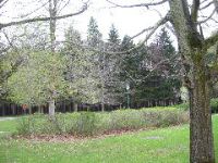 Picture 004
