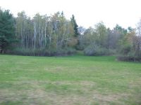 Picture 021