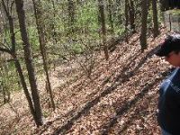 Picture 033