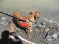 Picture 037