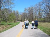 A_walk_home