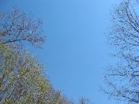 Picture 050