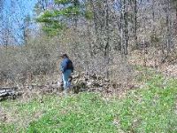 Picture 054