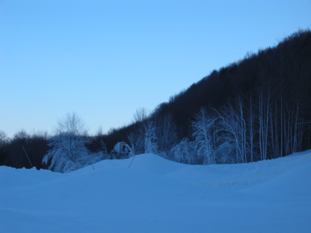 Picture 031