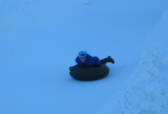 Picture 041