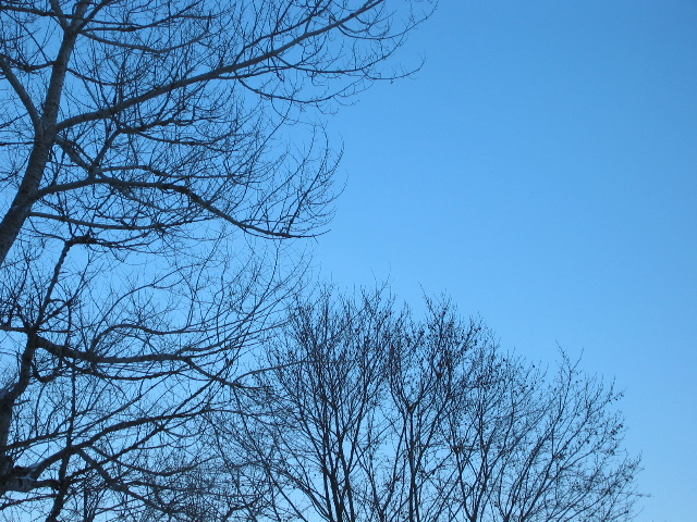 Picture 050