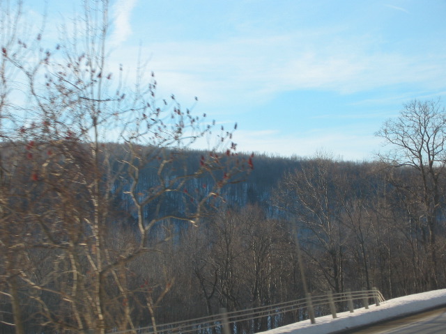 Picture 059
