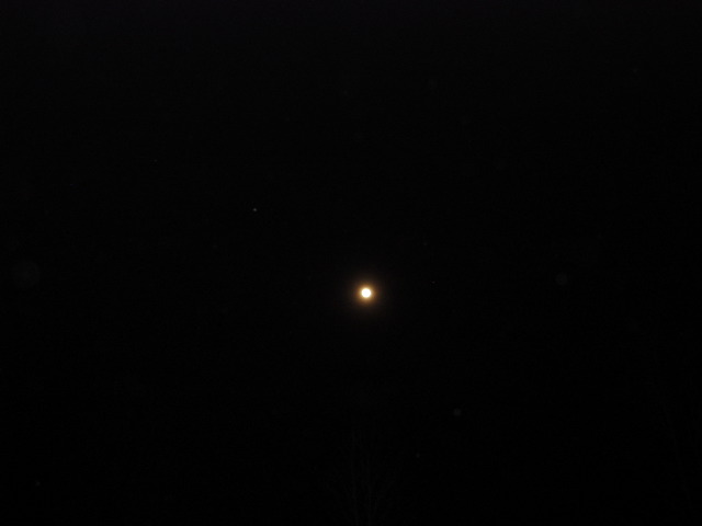 Picture 070