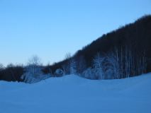 Picture 031