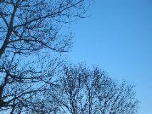 Picture 050