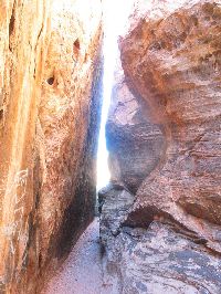 IMG_0286