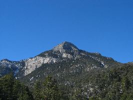 IMG_0351