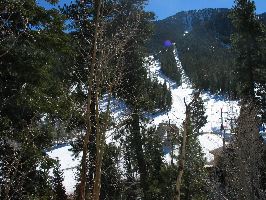 IMG_0357