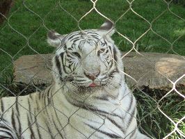 IMG_0453
