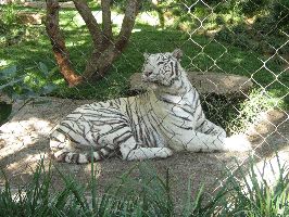 IMG_0456