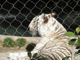 IMG_0459